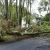 Belleview Storm Damage Cleanup by Southern Tree Services LLC